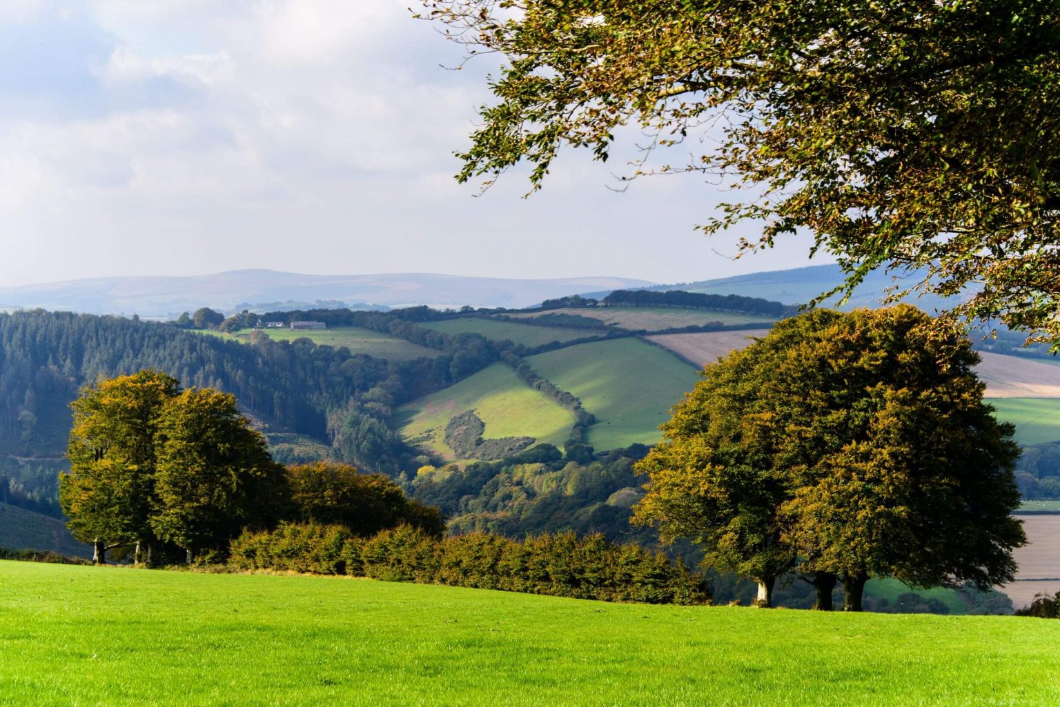 Quantock Hills - Day Walks - Exmoor Character Cottages